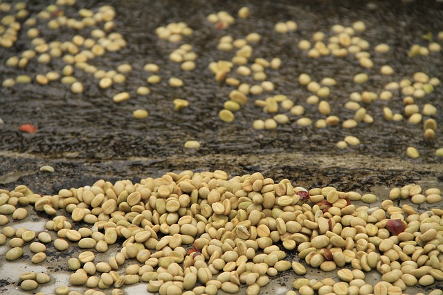 Coffee Washing