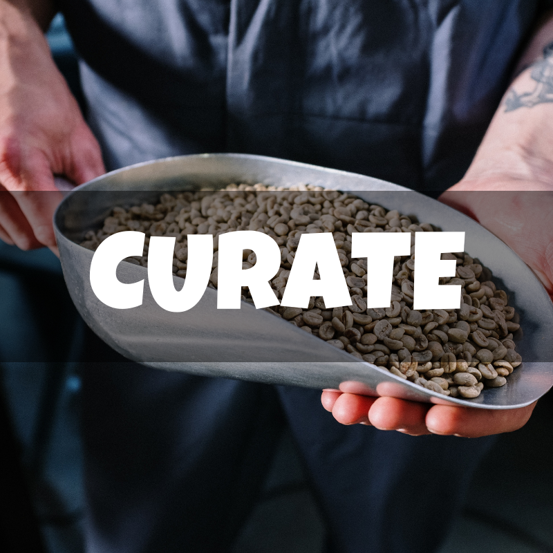 Curate